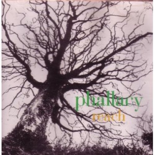 Phallacy - Reach