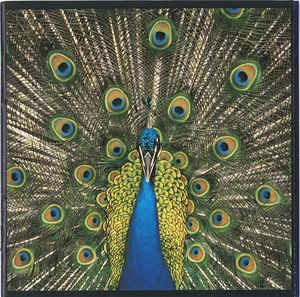 The Bluetones - Expecting To Fly