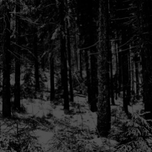 Moloch – Abstrakter Wald