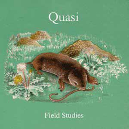 Quasi – Field Studies