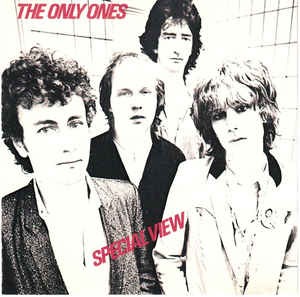 The Only Ones - Special View