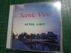 (J-Rock)Scenic View - After Limit