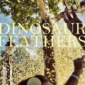 Dinosaur Feathers – Whistle Tips